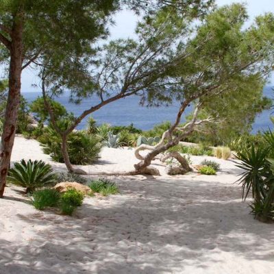 VUE ENTREE ET JARDIN SABLE